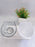 Non Slip Double Cat Bowl With Raised Stand Pet Food Cat Feeder Protect Cervical Vertebra Dog Bowl Transparent Pet Products