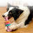 Dog Chew Toy Dog Bone Type  Dogs Teeth Cleaning Toys Indestructible TPR Bone Chewing Bite Resistant Teething Toys  Pet Products